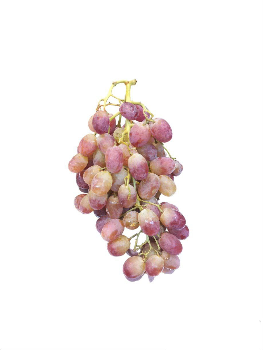 Ангури Шохона 2941