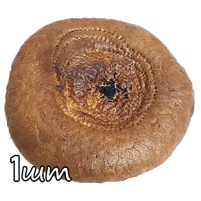 Бул. Кулчаи Дехоти