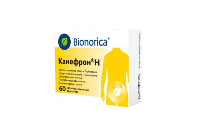 Канефрон Н др №60